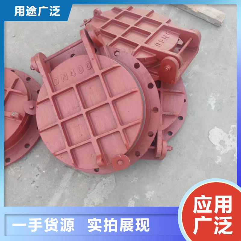 拍门球墨铸铁拍门品种全
