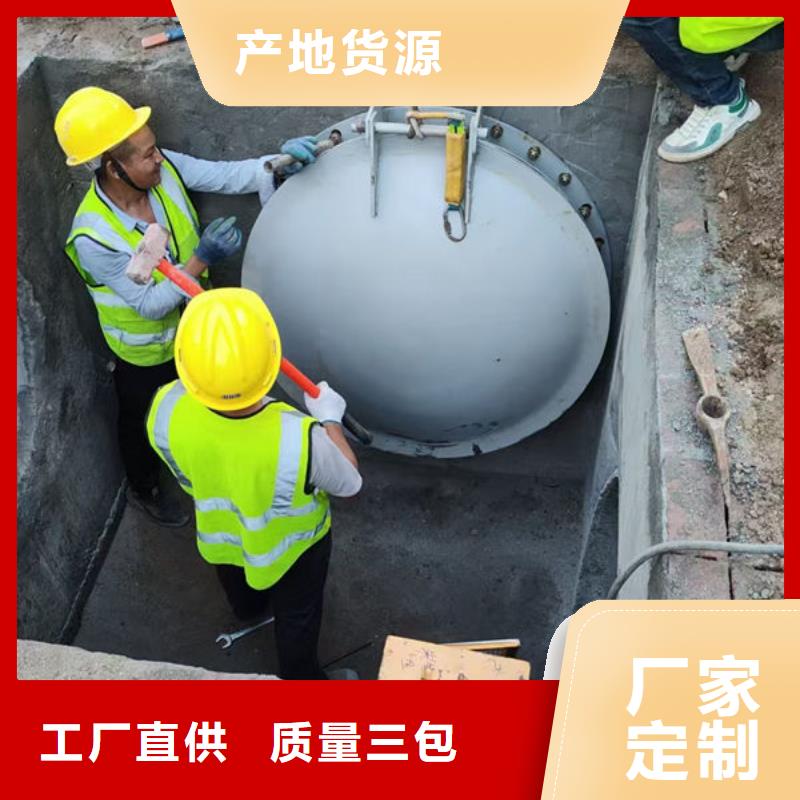拍门球墨铸铁拍门品种全