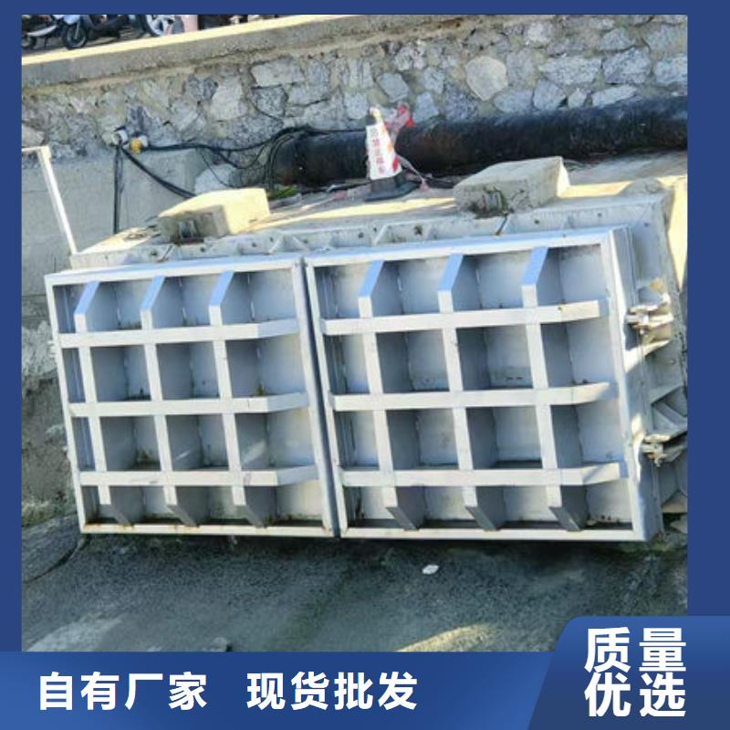 拍门不锈钢拍门按需定制