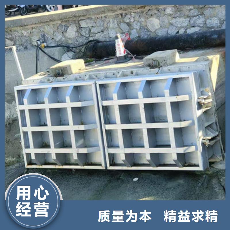 拍门不锈钢拍门现货销售