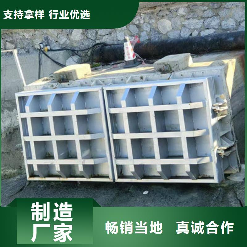拍门球墨铸铁拍门品种全