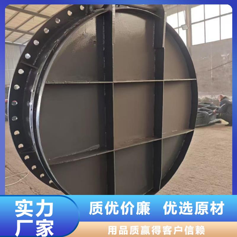 拍门,圆拍门主推产品