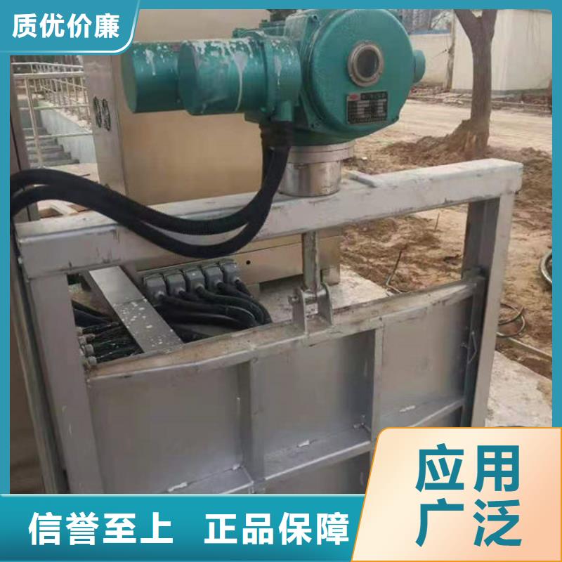 不锈钢闸门捞污珊源头厂家经验丰富