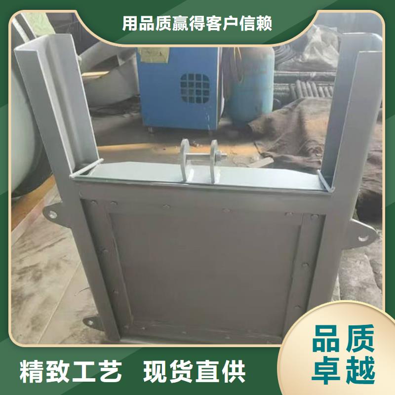 不锈钢闸门,双止水不锈钢闸门货真价实