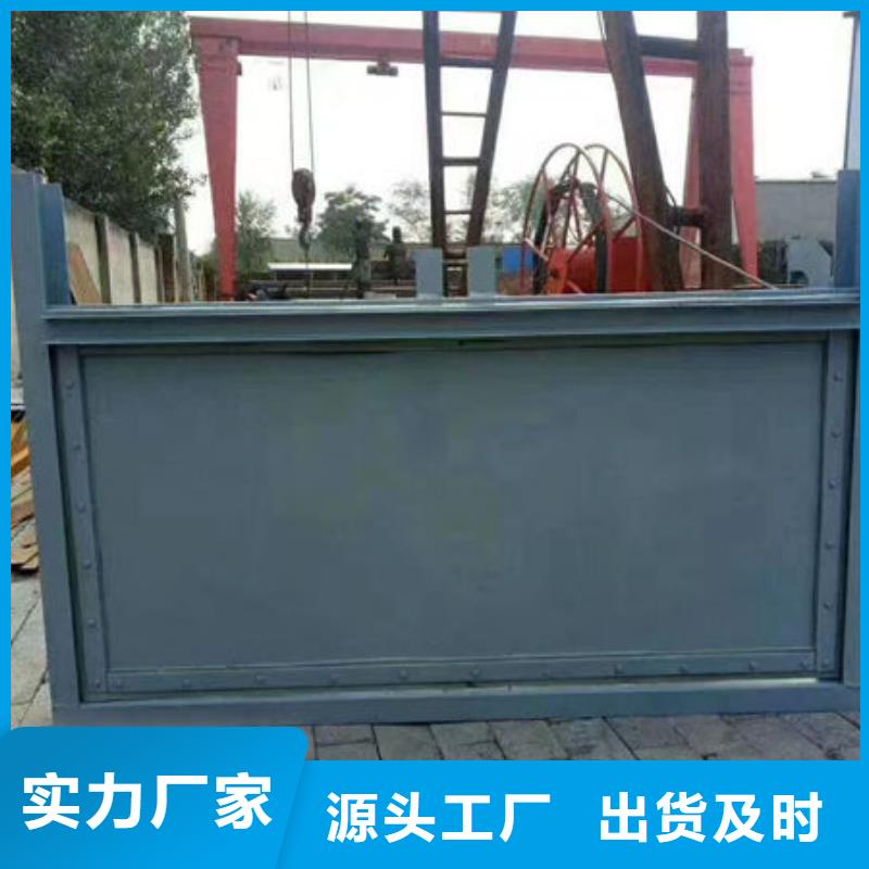 不锈钢闸门-捞污珊供应商