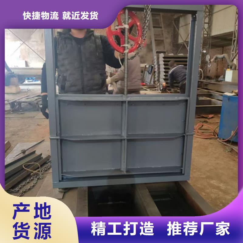 不锈钢闸门捞污珊工厂自营