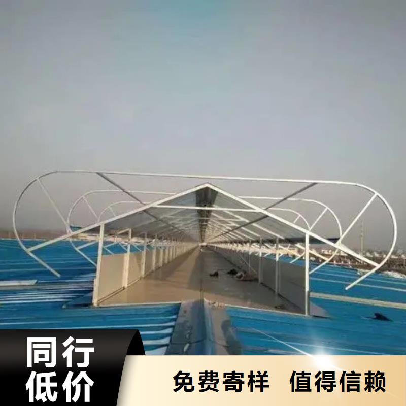 屋脊气楼图片