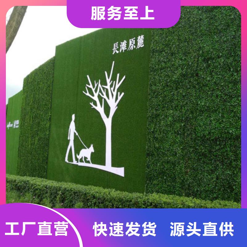 草坪围挡_围挡草坪欢迎来厂考察