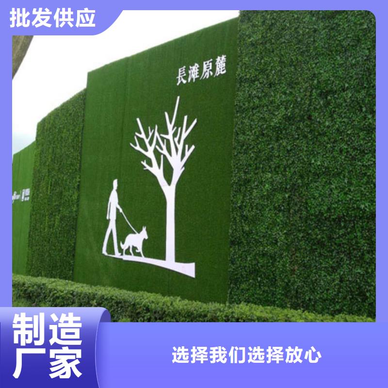 草坪围挡人工草坪围挡按需定做