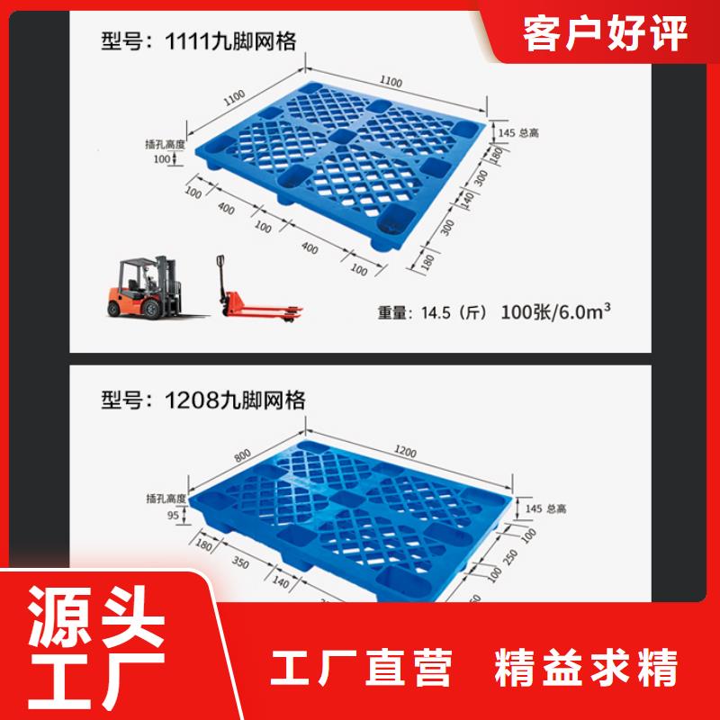 大姜保鲜冷库塑料托盘生产厂家