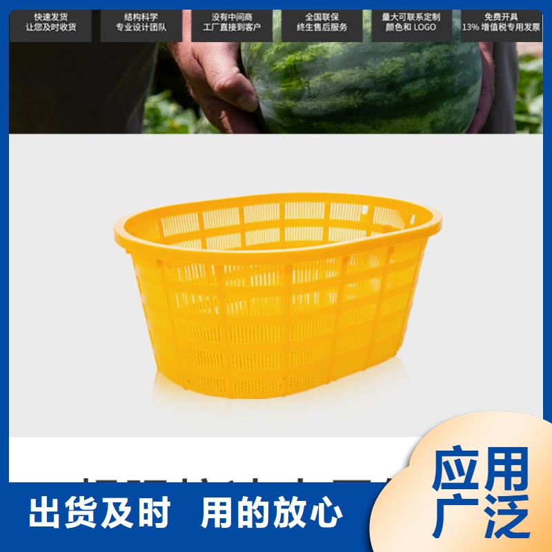 泸定工具箱食品级材质