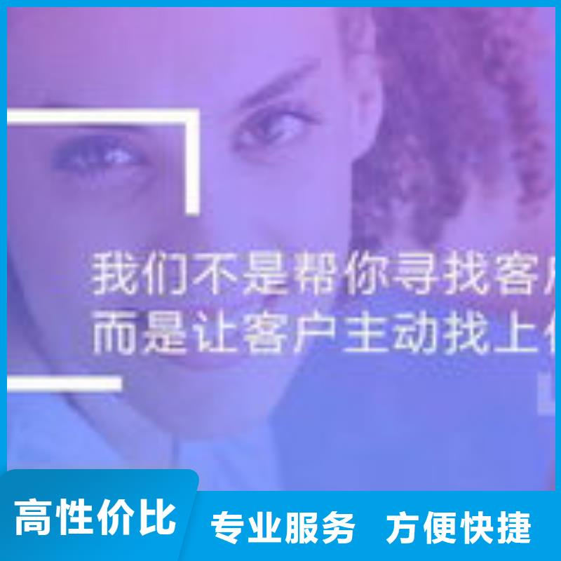 马云网络网络公司专业品质