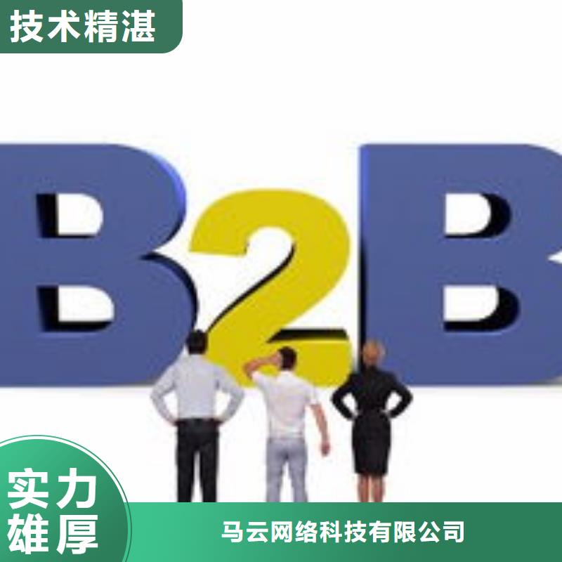 马云网络b2b平台推广专业服务