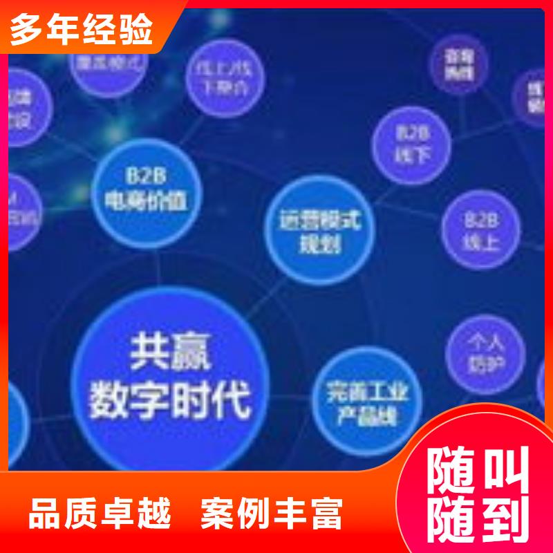 马云网络b2b平台推广专业服务
