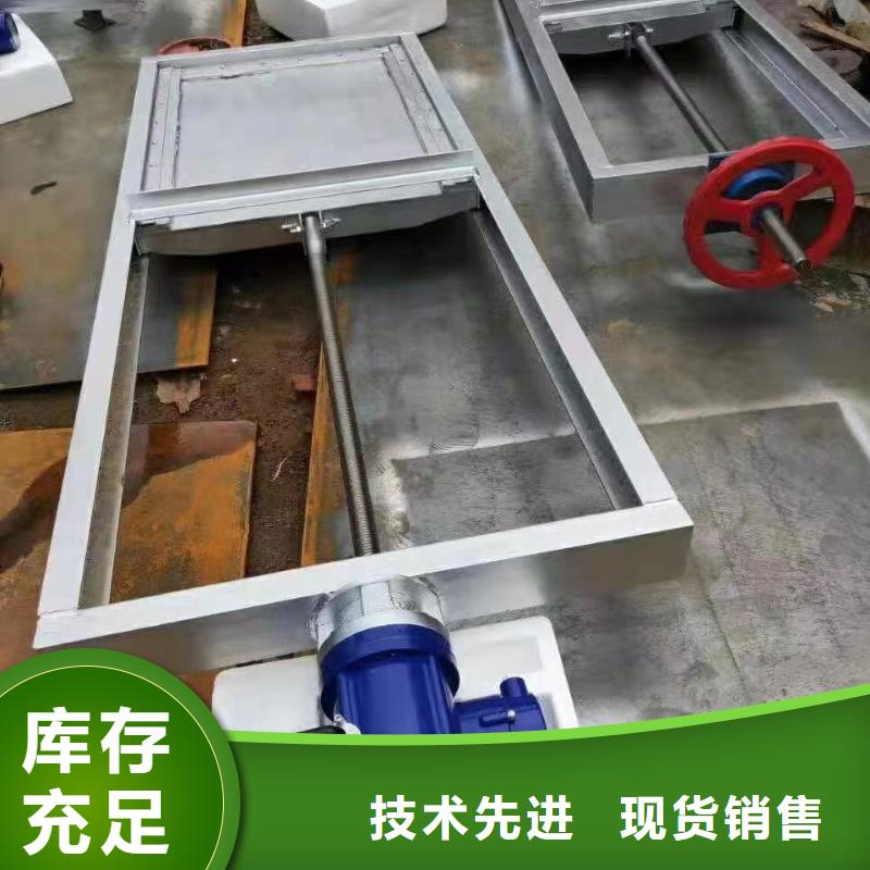 订购瑞鑫生产手提钢制闸门   的销售厂家