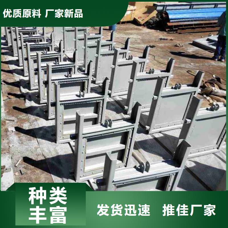 《瑞鑫》实力雄厚的钢制平面闸门  生产厂家
