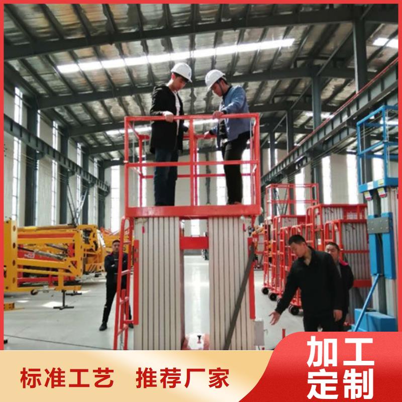 铝合金升降机_厂房货梯保质保量