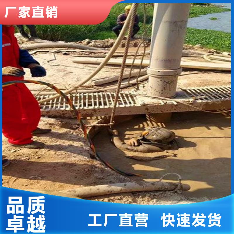 蛙人水下封堵,水下拆除砖堵供您所需
