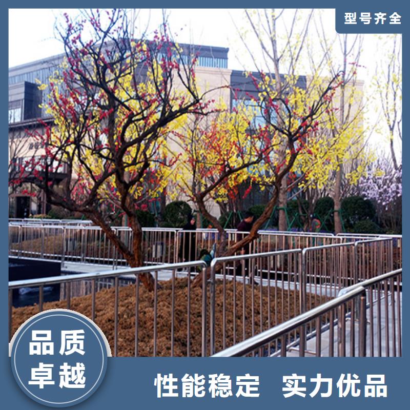 铁马护栏出租 【婚庆篷房租赁】价格透明