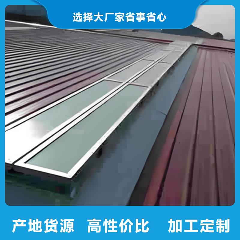 8型圆拱型电动采光天窗（侧开式二）个性化定制