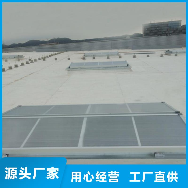 #学校通风气楼#厂家
