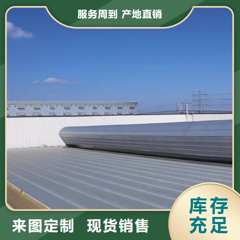 8型圆拱型电动采光天窗(侧开式二)个性化定制