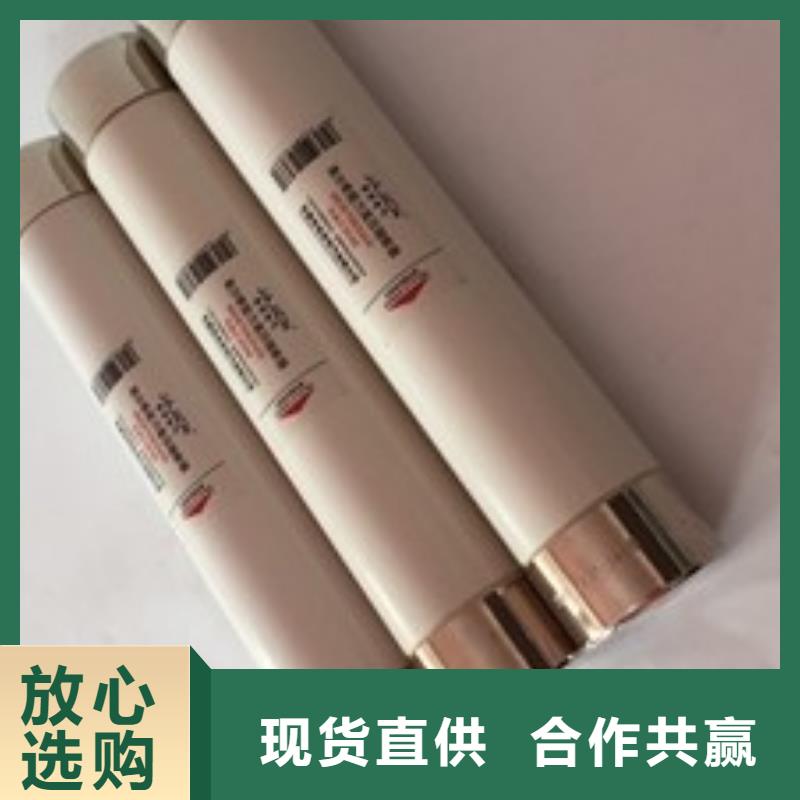 陶瓷配电型氧化锌避雷器Y5WS-26/72