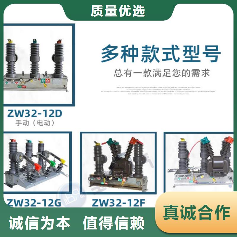 儋州市生产厂家ZW32-12/1250-25户外真空高压断路器看门狗