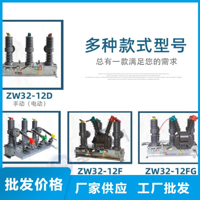 真空断路器智能隔离跌落式熔断器RW12规格齐全