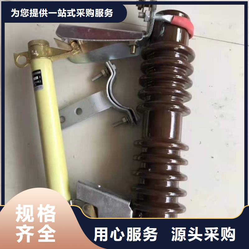 购买(宝熔)生产厂家RW12-11/100A高压跌落式熔断器