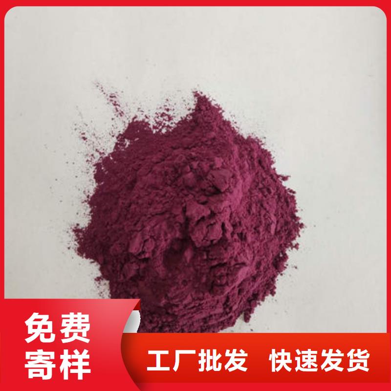 脱毒紫薯苗（绫紫品种）春薯苗