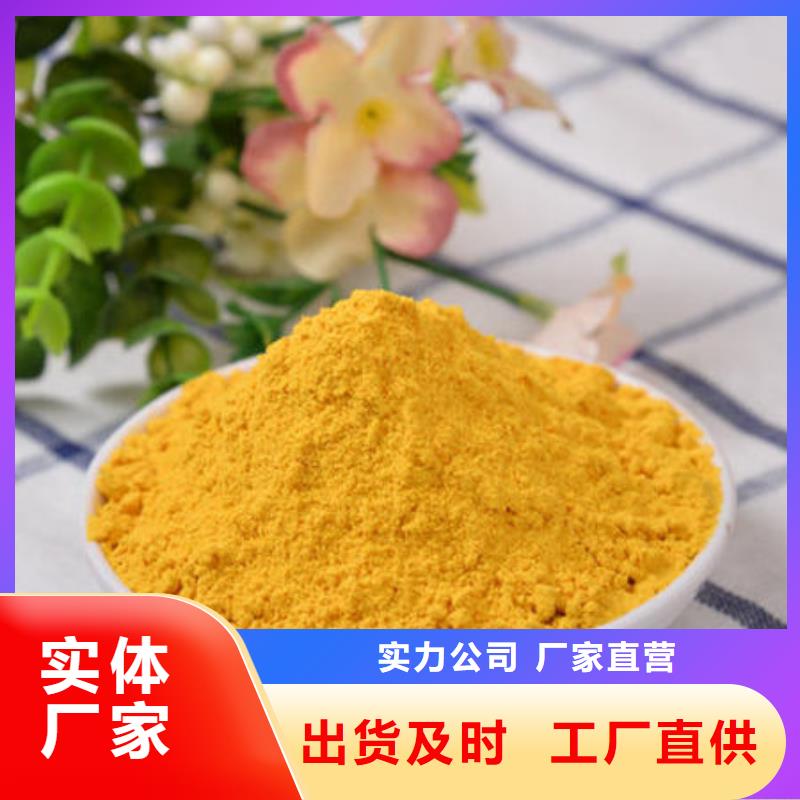 南瓜全粉实体大厂