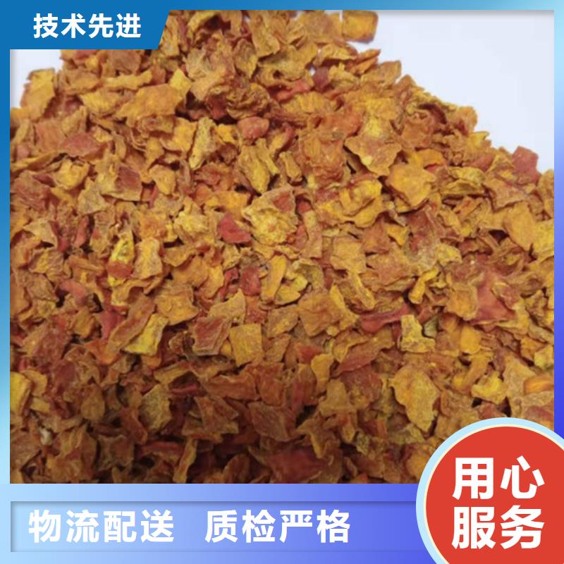 南瓜丁信赖