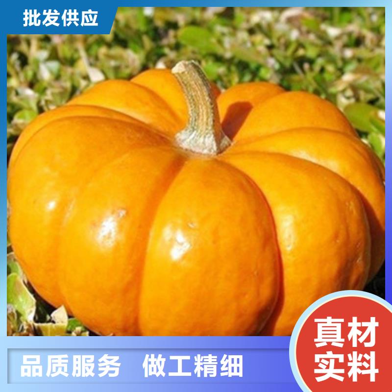 无皮南瓜粒实力老厂
