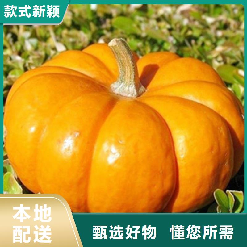 无皮南瓜粒多重优惠