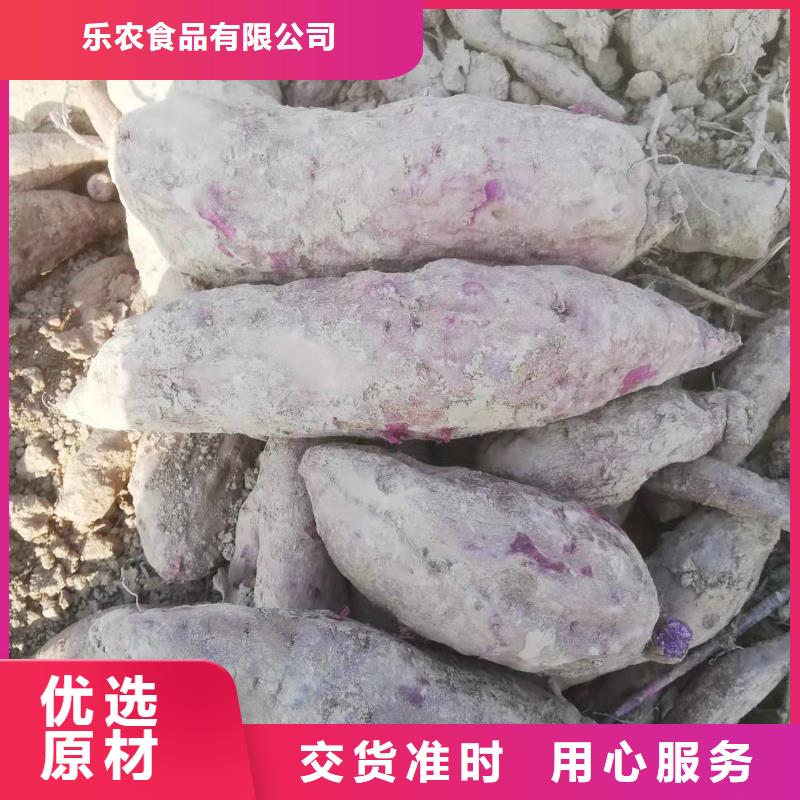 济黑2号紫薯苗批发基地