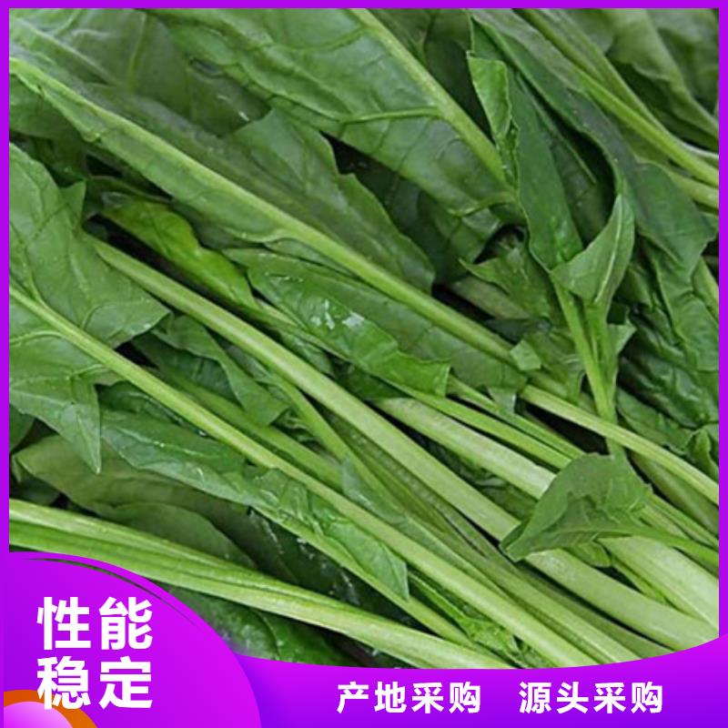 口碑好菠菜粉厂家