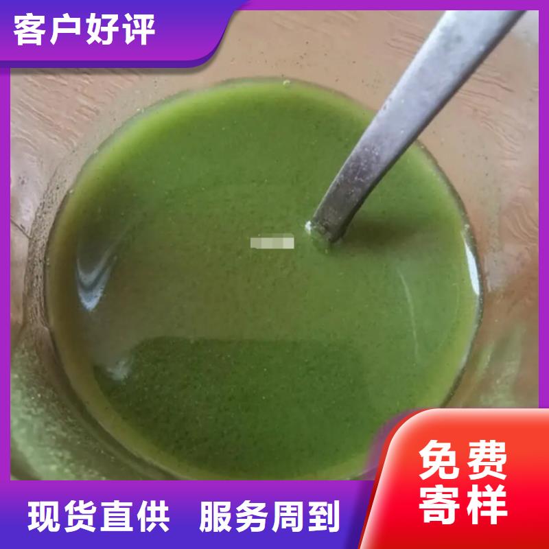 甘蓝粉直销厂家