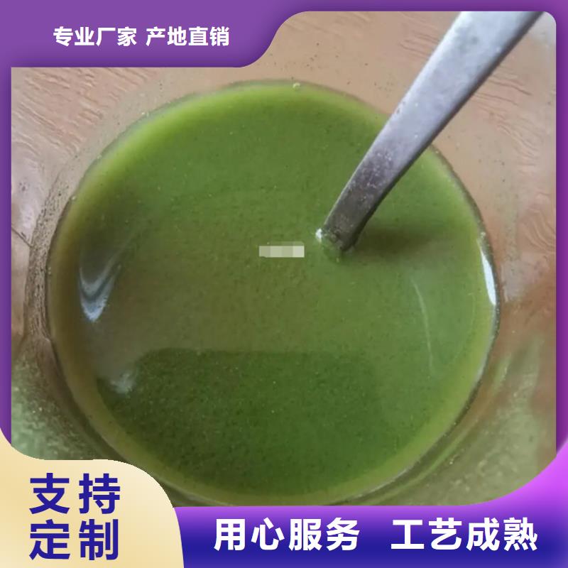 羽衣甘蓝粉-发货快