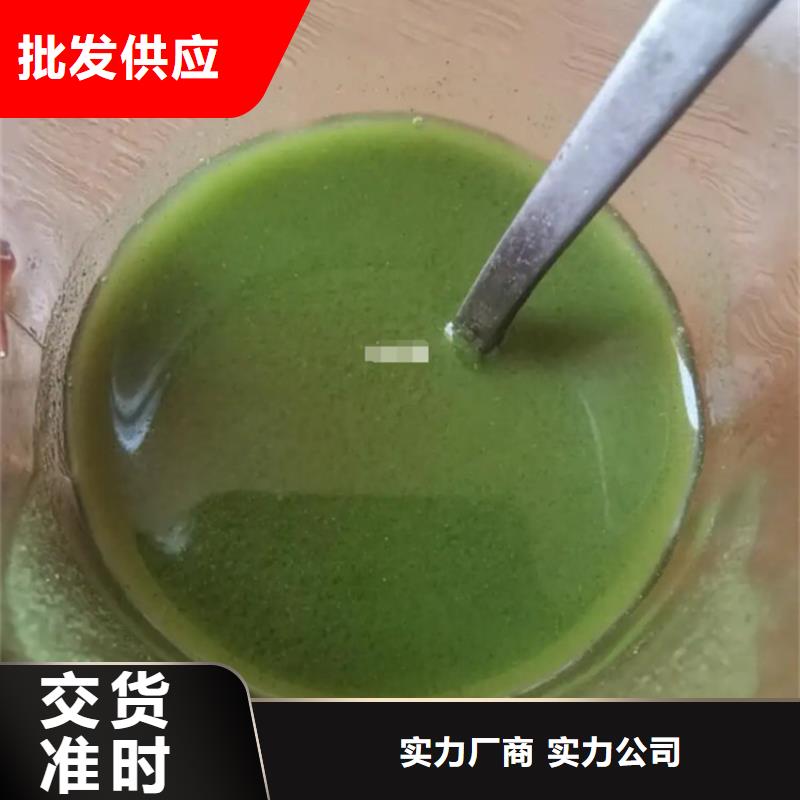 甘蓝粉单价