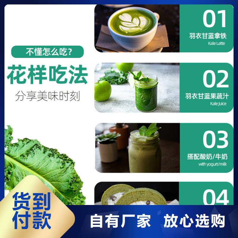 甘蓝粉-发货快