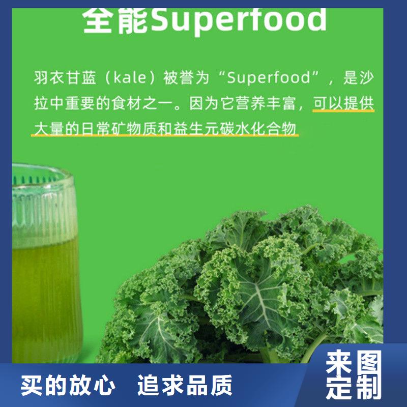 有现货的甘蓝粉公司