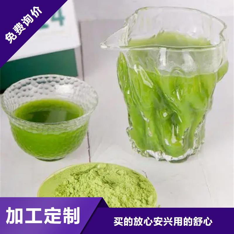 厂家定制羽衣甘蓝粉