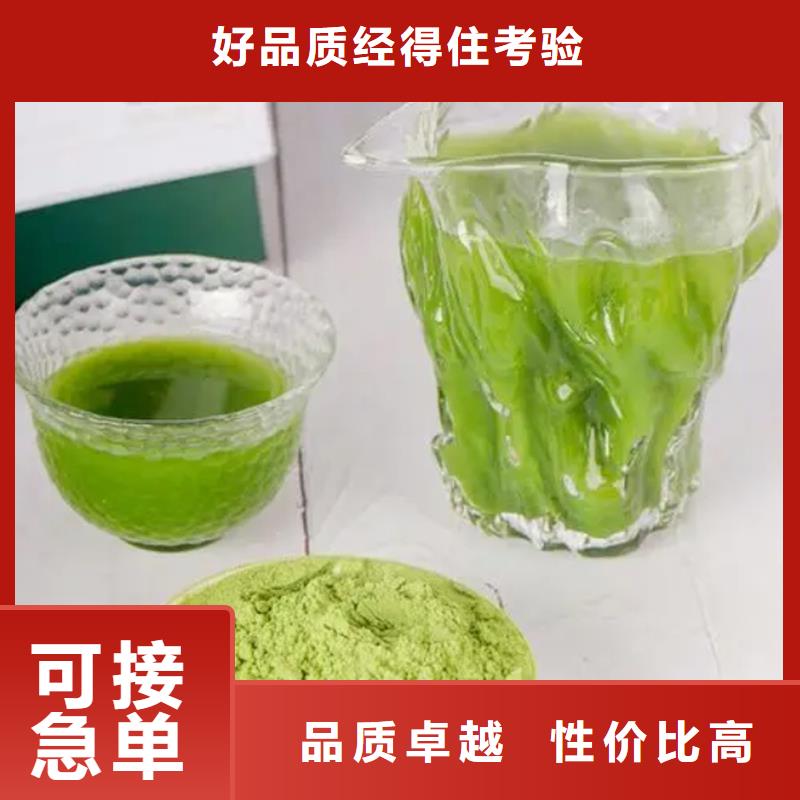 发货及时的羽衣甘蓝粉销售厂家