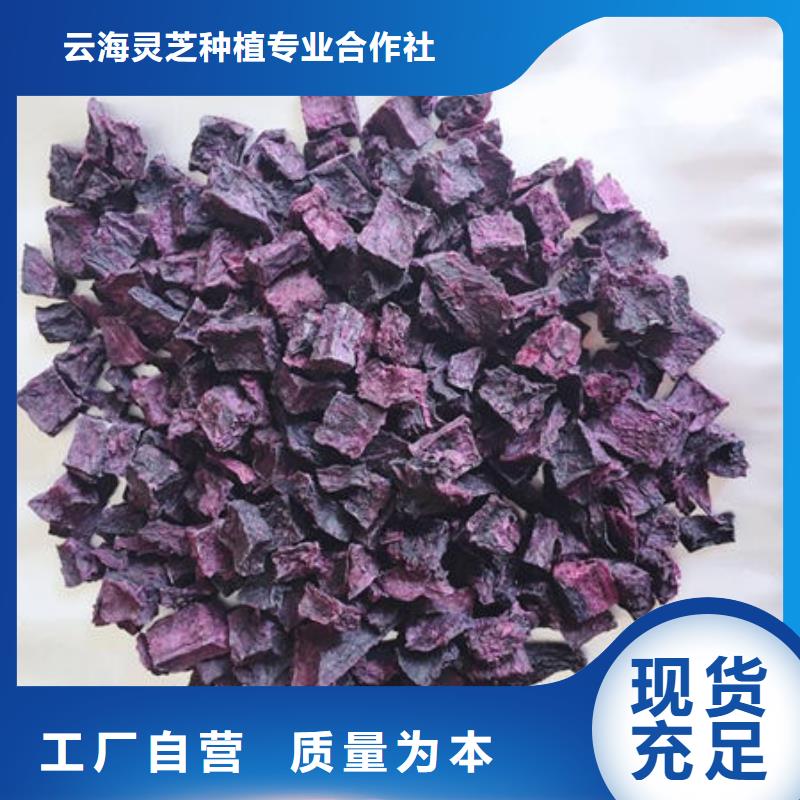 紫薯丁-灵芝菌种畅销本地