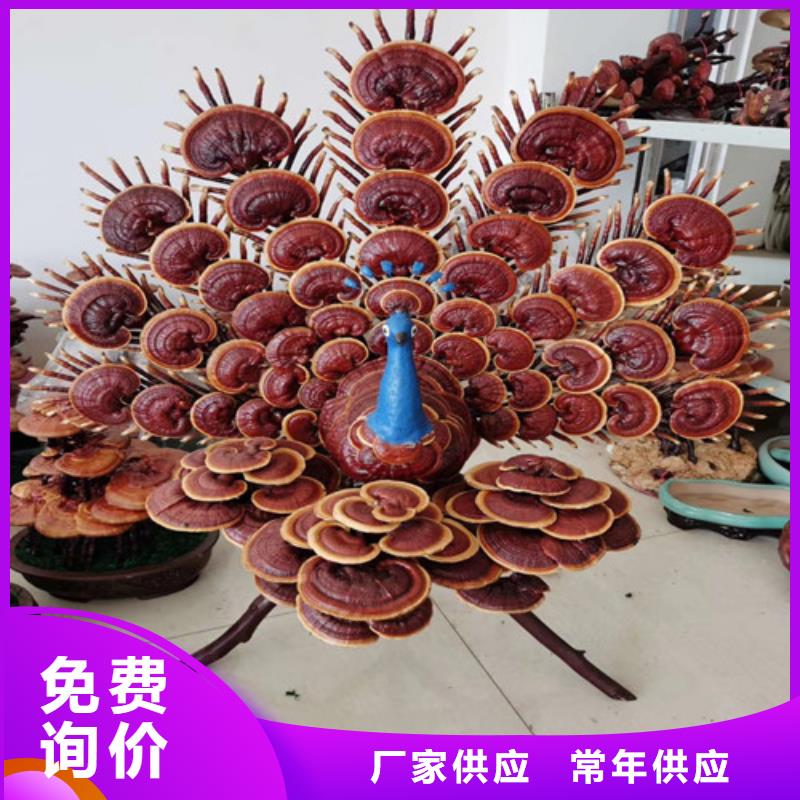 灵芝孢子粉怎么吃好吃