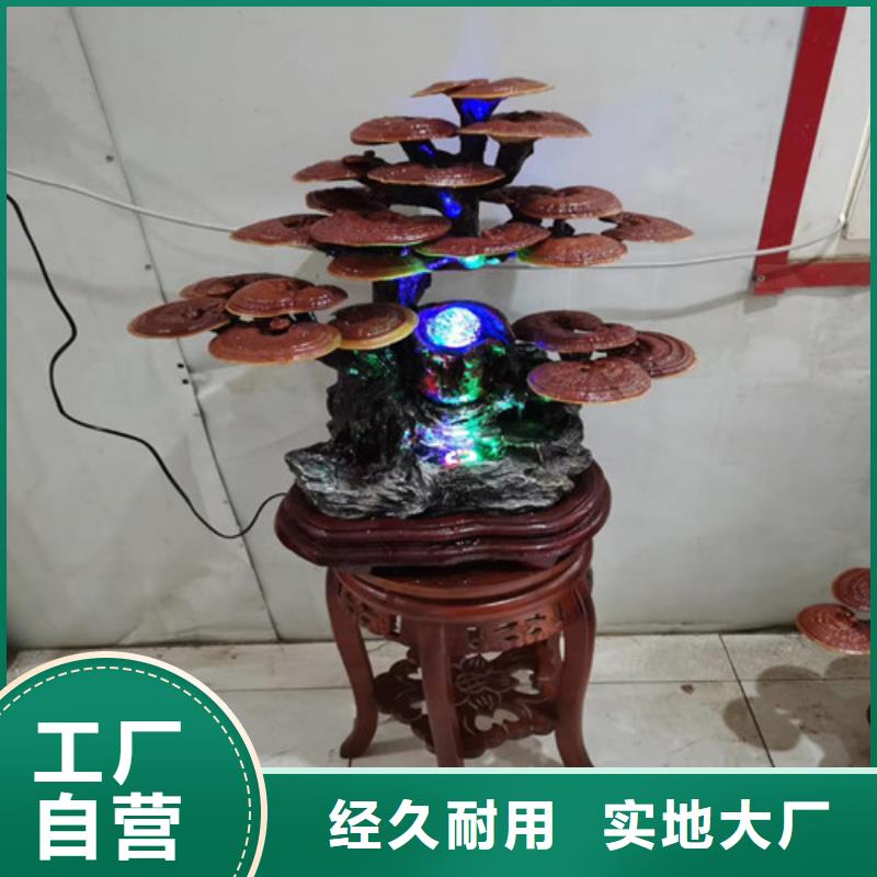 选购孢子灵芝认准云海灵芝种植专业合作社