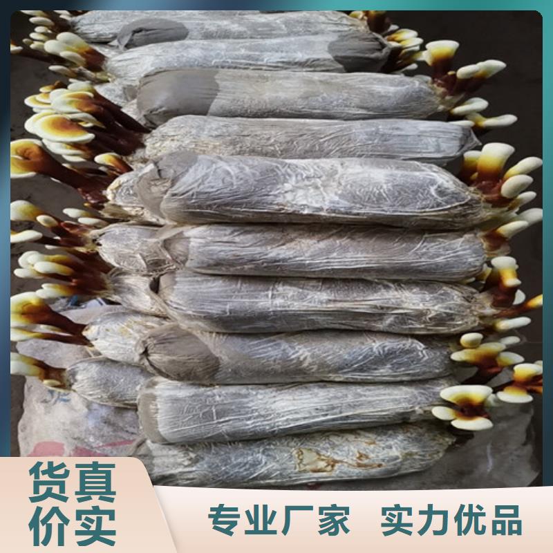 破壁灵芝孢子粉是什么味道