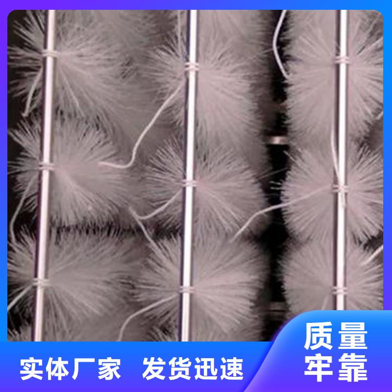 弹性填料蜂窝活性炭采购无忧