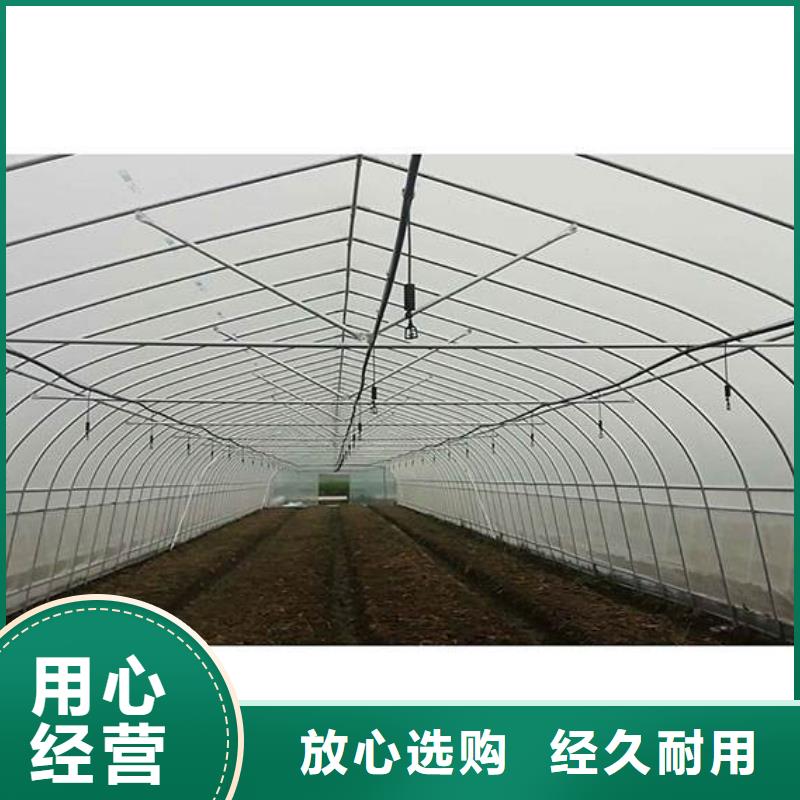 安徽省用好材做好产品(泽沃)肩高1.8米顶高2.5米大棚管价格厂家2024